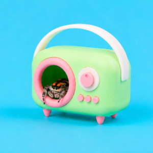 Refugio de radio vintage para arañas saltadoras – Verde pastel