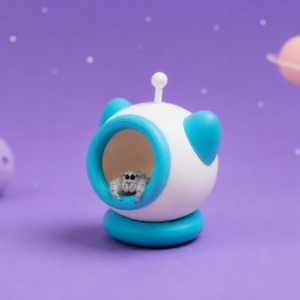 Escondite de astronauta para arañas saltarinas – Azul pastel